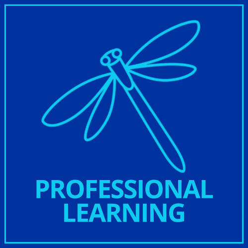 Professional Learning